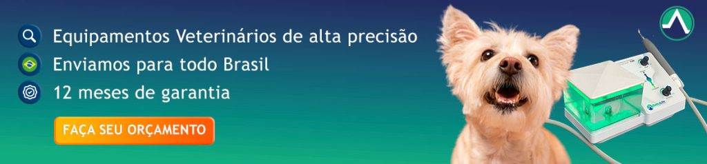 CTA chamando para o cliente realizar um orçamento no site da empresa Se você é um amante de animais, provavelmente já ouviu falar da importância da saúde bucal para os pets.
Assim como em humanos, problemas dentários em animais de estimação podem causar desconforto, dor e até mesmo afetar sua qualidade de vida.
Neste texto, veja a importância do ultrassom dentário veterinário nos consultórios, clínicas e durante os procedimentos cirúrgicos, além de mostrar como ele pode melhorar a saúde bucal dos animais.